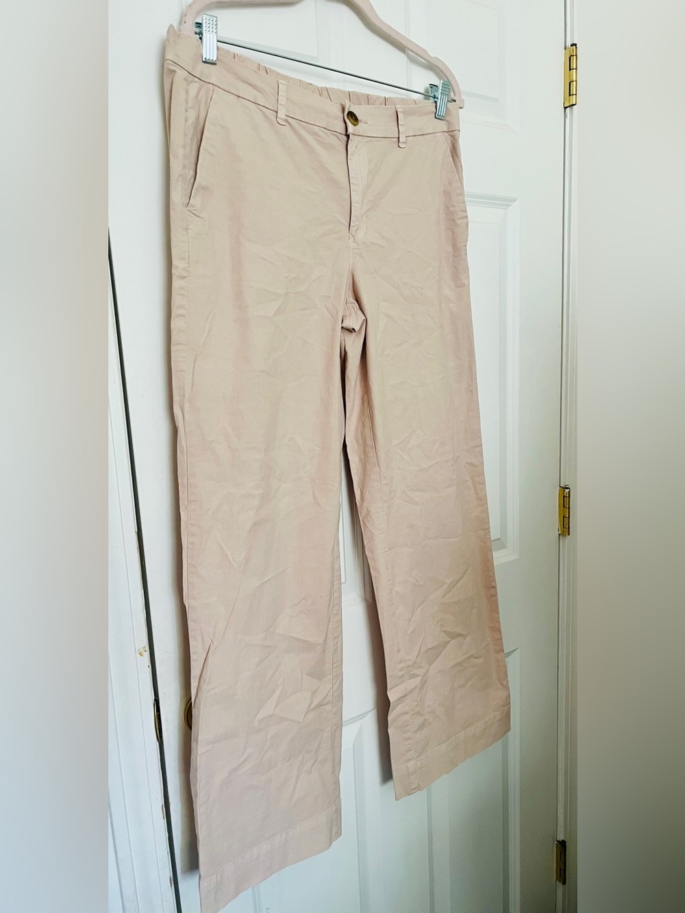 American Eagle Outfitters Light Tan Chino Pants Size 10 Long